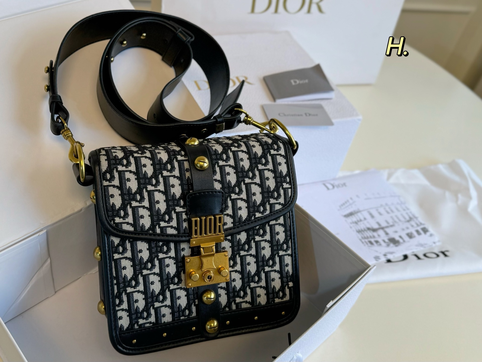 DIOR bag 19